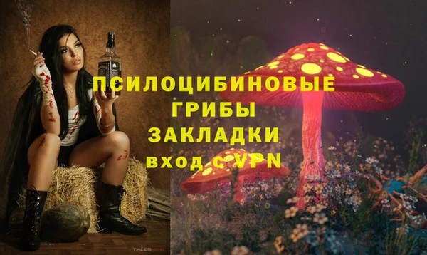 хмурый Куйбышев