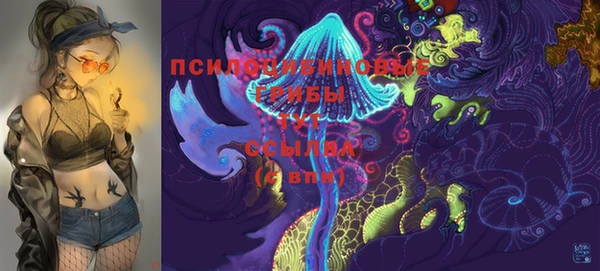 хмурый Куйбышев