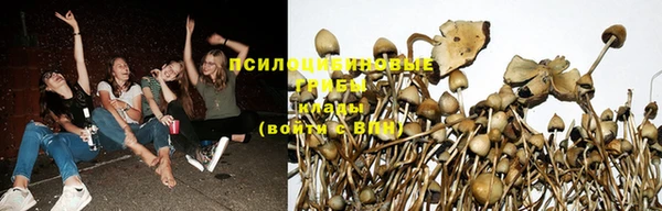 а пвп мука Кулебаки