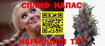 гидра Камышлов