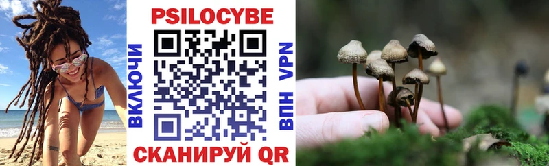 сколько стоит  Лысьва  даркнет какой сайт  Галлюциногенные грибы GOLDEN TEACHER 