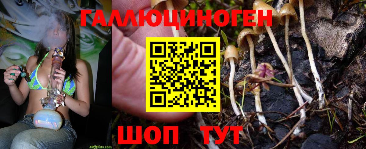 Лысьва  Галлюциногенные грибы мицелий  Вход с VPN 
