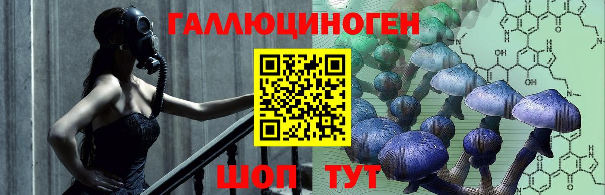 Псилоцибиновые грибы Cubensis Лысьва